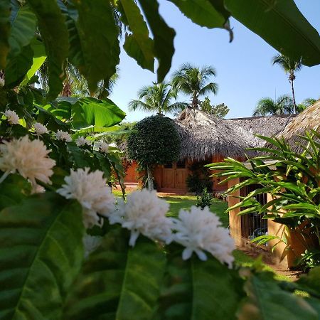 Solazul Acomodação com café da manhã Las Galeras Exterior foto