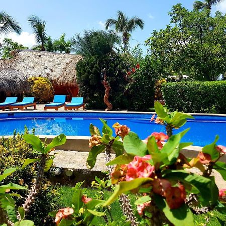 Solazul Acomodação com café da manhã Las Galeras Exterior foto