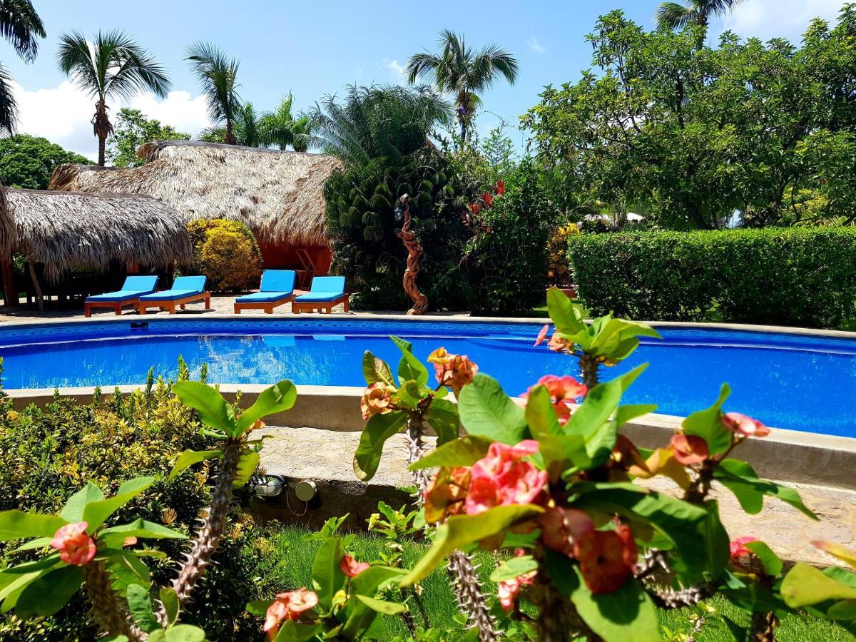 Solazul Acomodação com café da manhã Las Galeras Exterior foto