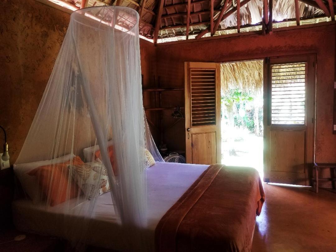 Solazul Acomodação com café da manhã Las Galeras Exterior foto