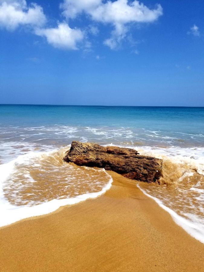 Solazul Acomodação com café da manhã Las Galeras Exterior foto