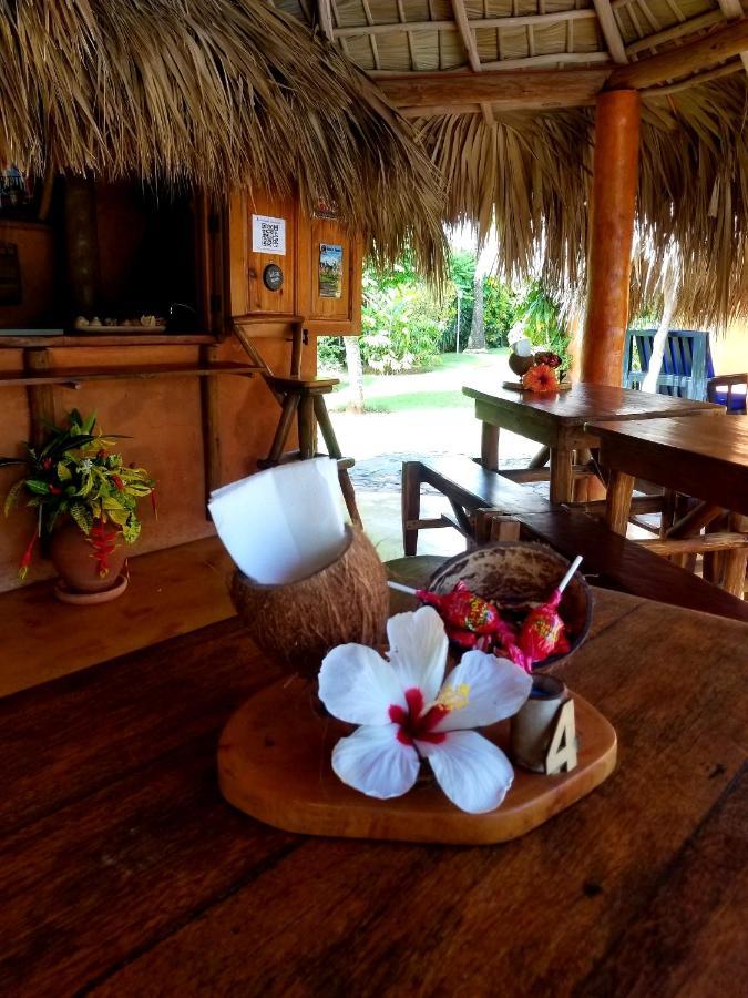 Solazul Acomodação com café da manhã Las Galeras Exterior foto