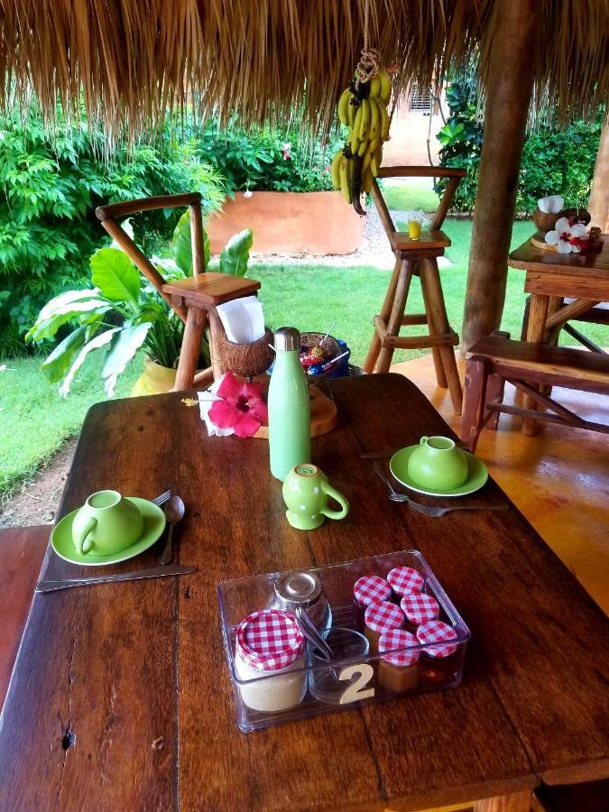 Solazul Acomodação com café da manhã Las Galeras Exterior foto