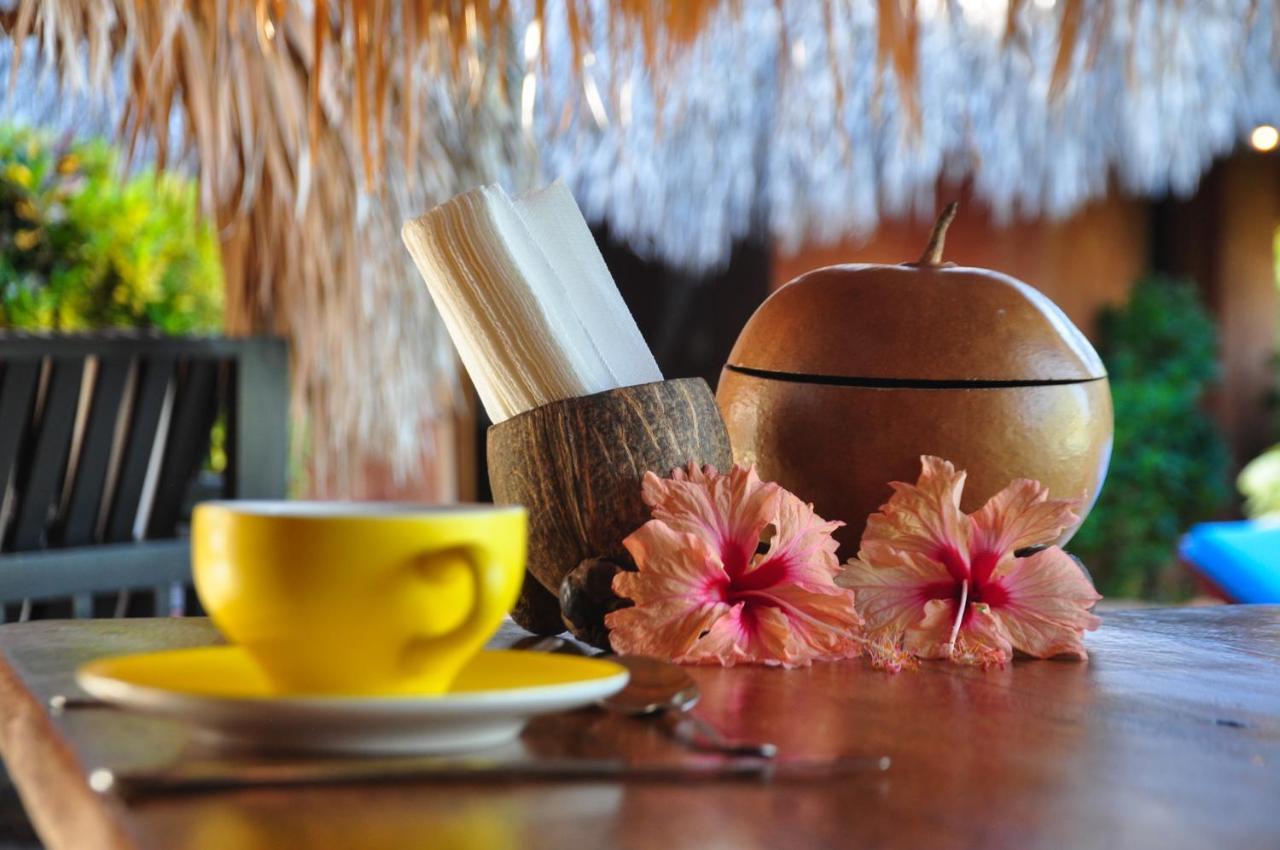 Solazul Acomodação com café da manhã Las Galeras Exterior foto