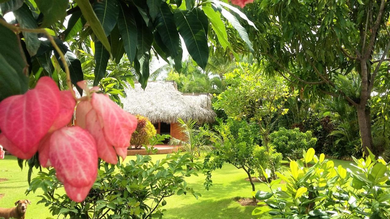 Solazul Acomodação com café da manhã Las Galeras Exterior foto