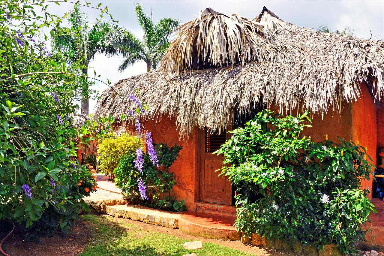 Solazul Acomodação com café da manhã Las Galeras Exterior foto