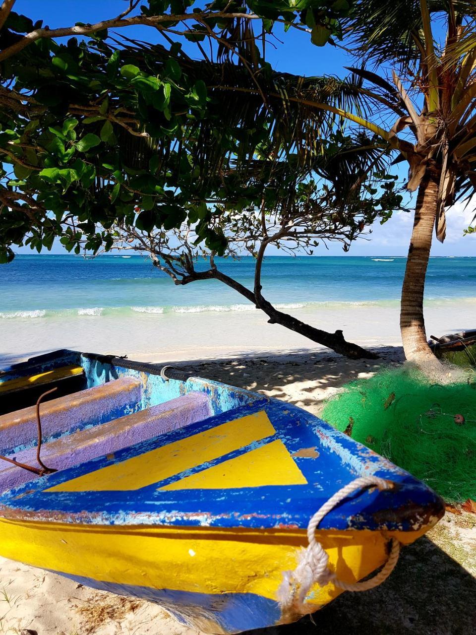 Solazul Acomodação com café da manhã Las Galeras Exterior foto